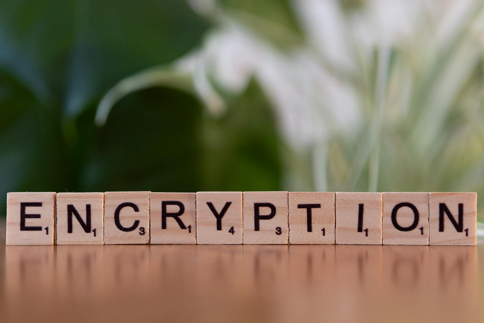Drewniane klocki układające się w napis encryption jako symbol ochrony danych